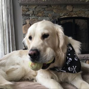 Meet your Posher, Skylar